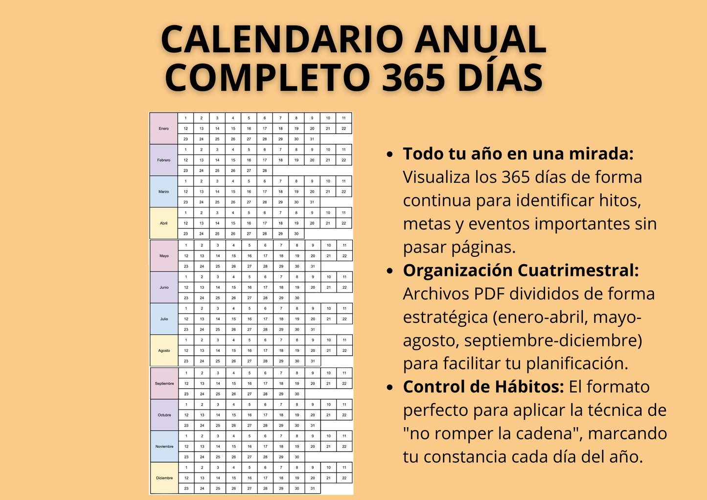 Calendario Anual 365 Días: Tu Año de un Vistazo