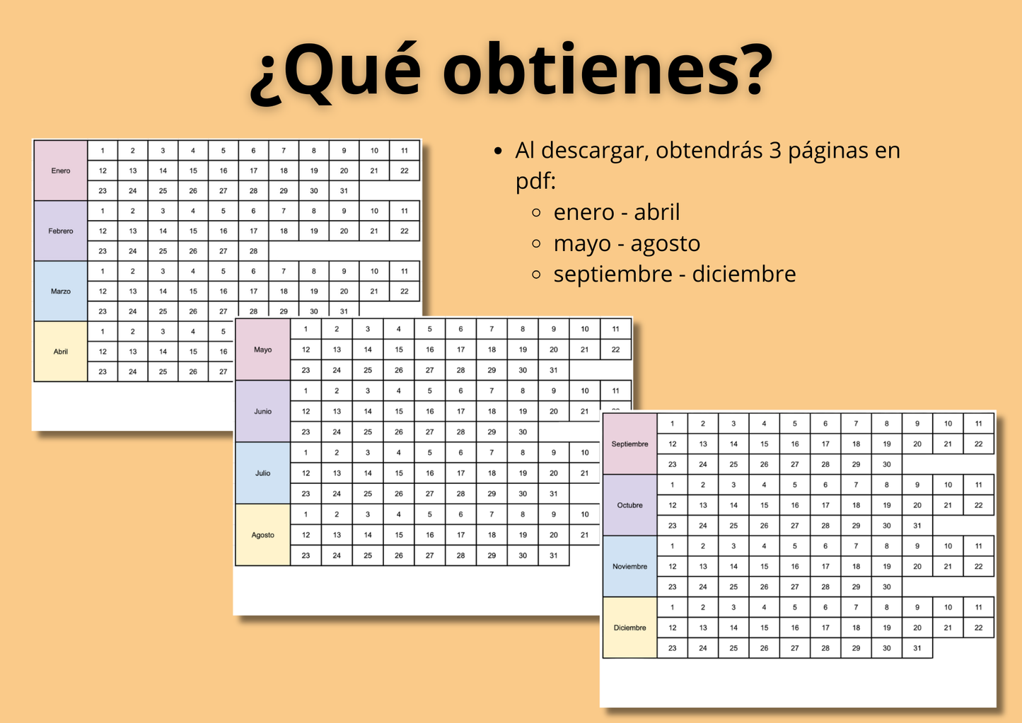 Calendario Anual 365 Días: Tu Año de un Vistazo