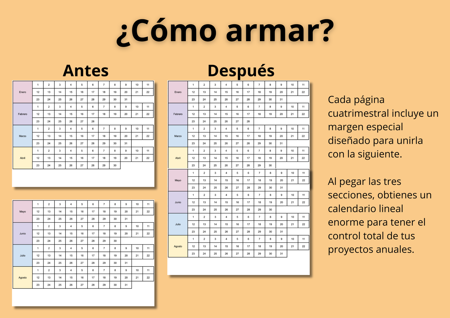 Calendario Anual 365 Días: Tu Año de un Vistazo