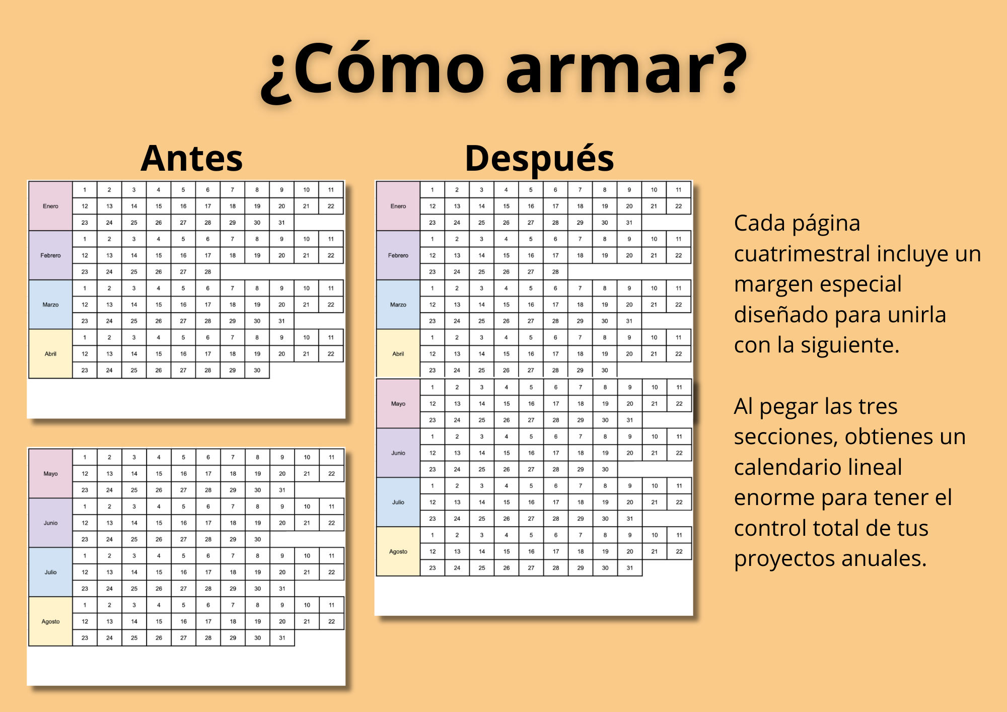 Calendario Anual 365 Días: Tu Año de un Vistazo