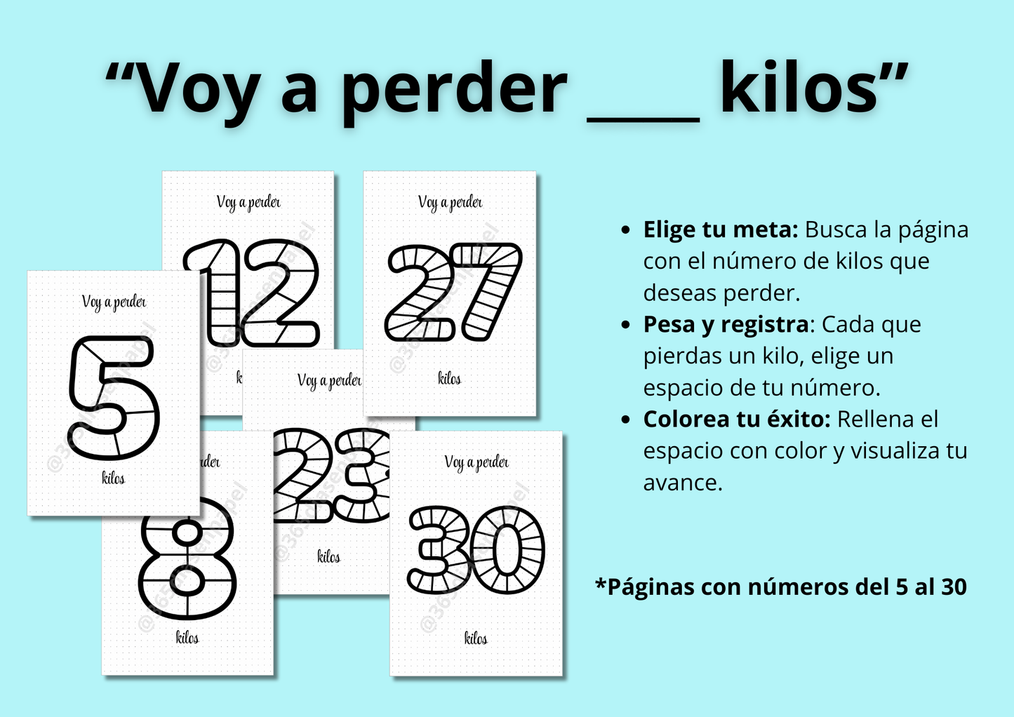 Journal para perder peso