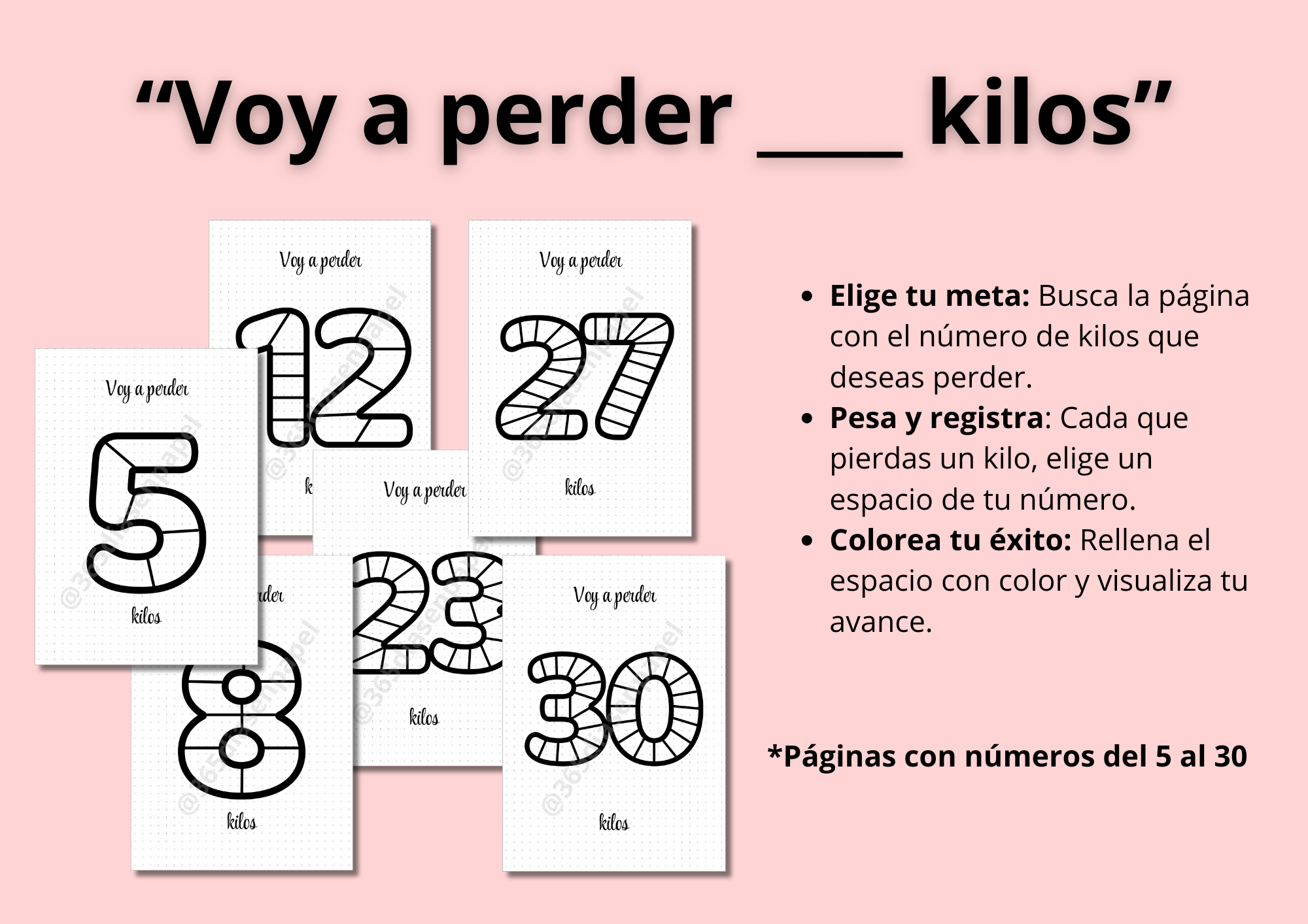 Journal para perder peso